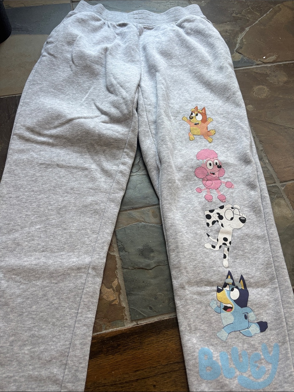 Hybrid Apparel Bluey Gray Bluey Jogger Bottoms from Target  - XS